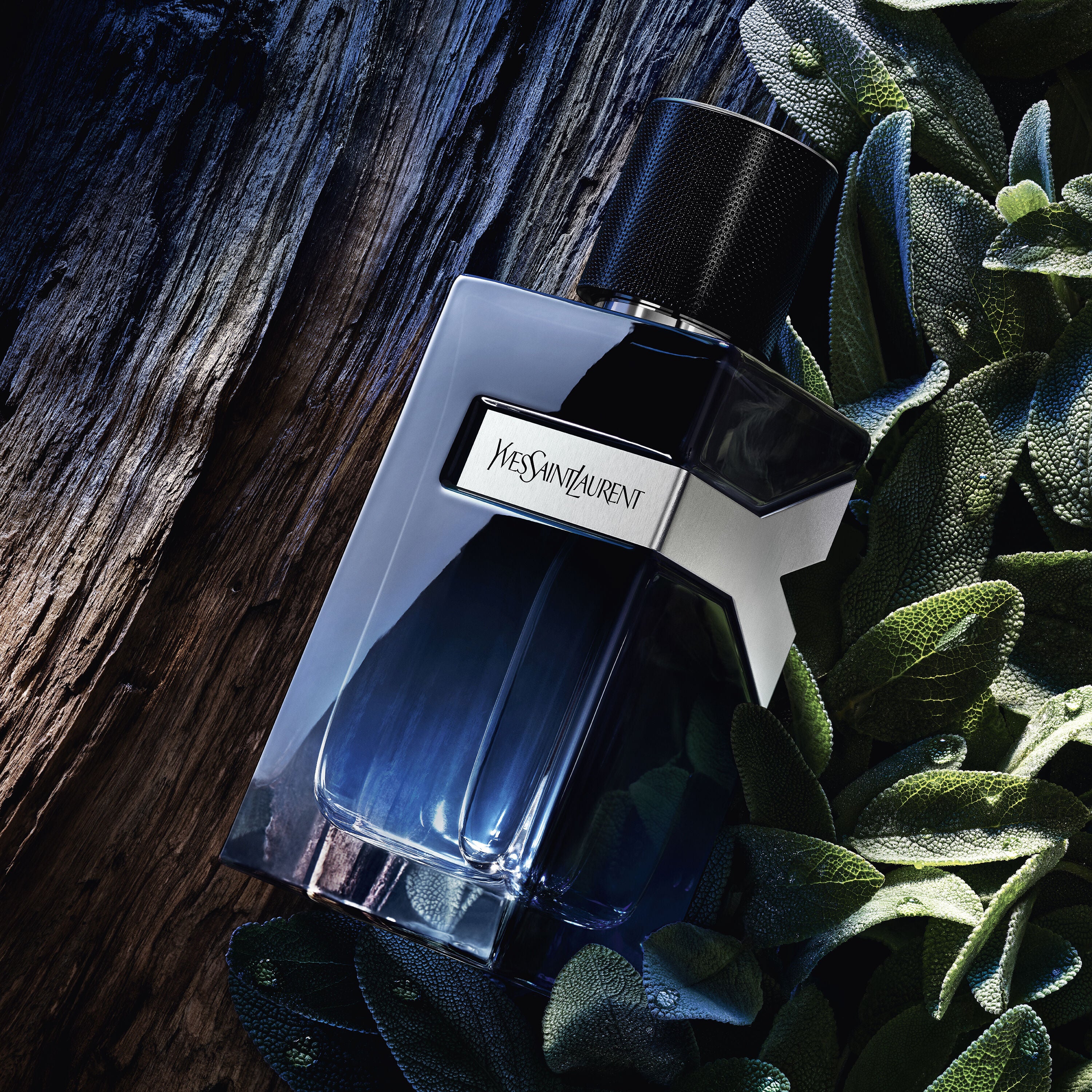 YSL Y EDP - Moon de Grasse - original perfumes - moondegrasse -